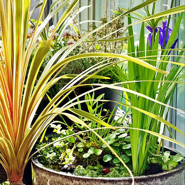 DAYONEさんの実例写真