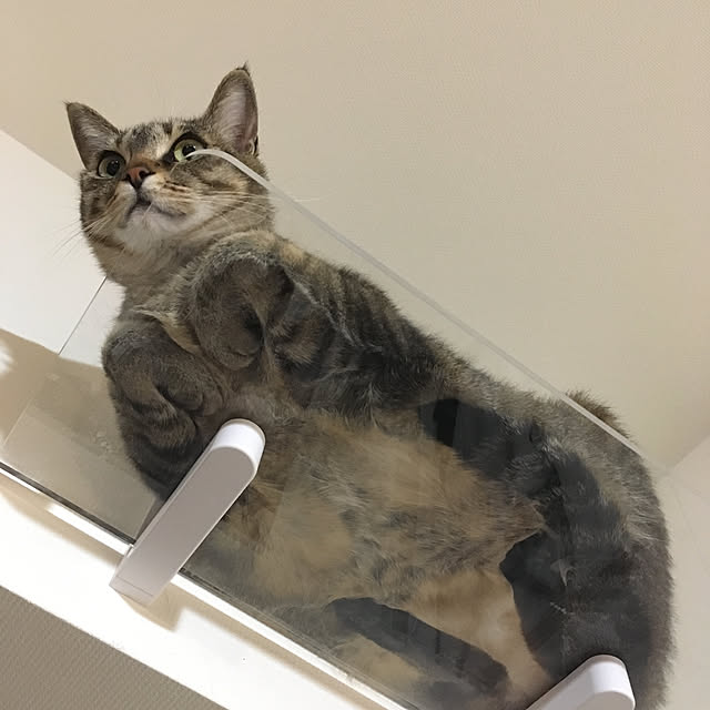 mikomaruさんの実例写真