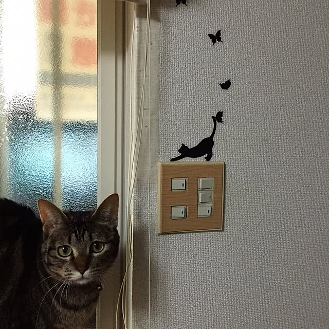 MARON1111さんの実例写真