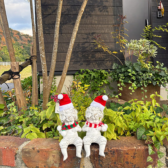 hanaさんの実例写真