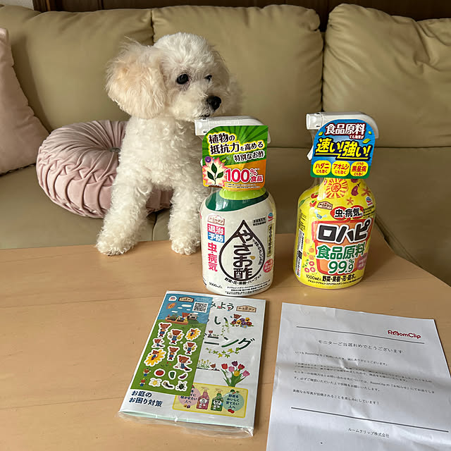 norikorinさんの実例写真