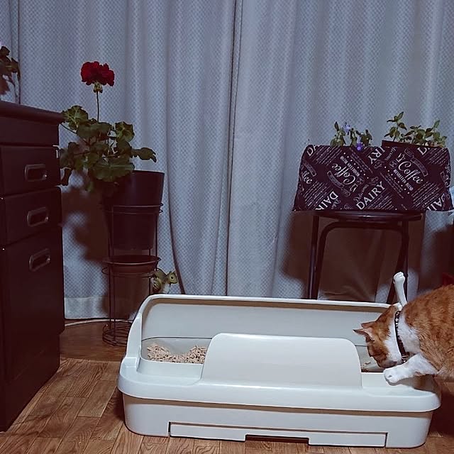 NOAHさんの部屋