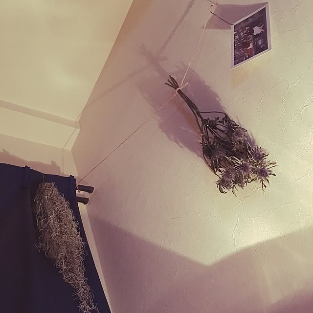 mrn0824さんの実例写真