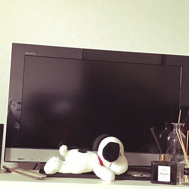 ROSSYさんの実例写真