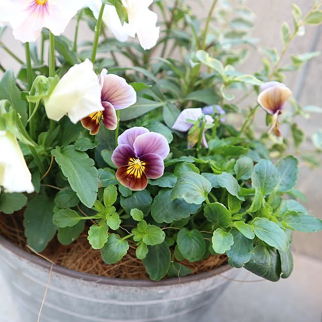 aya_blueさんの部屋