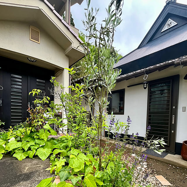 cotaさんの部屋