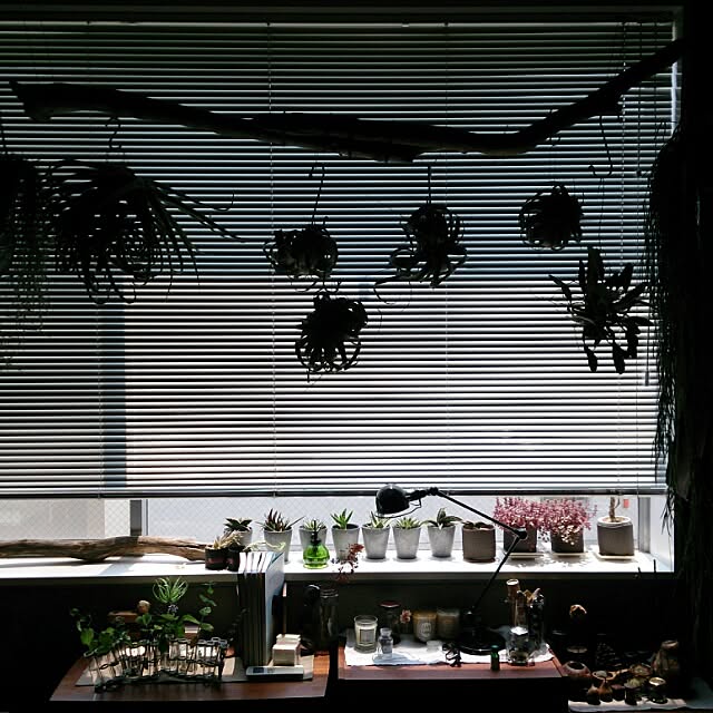 yujlさんの実例写真