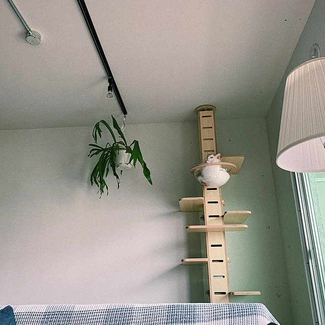 ____m6__56さんの実例写真