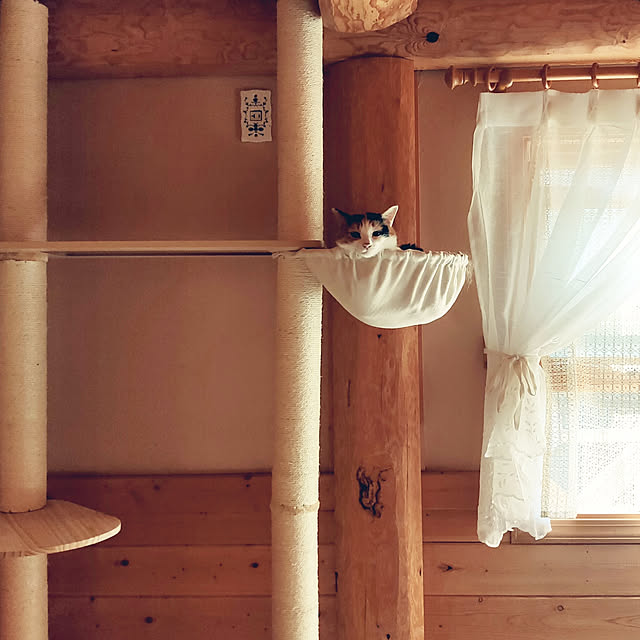 mandshuricaさんの実例写真
