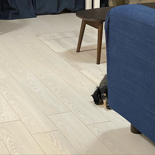 ohanaさんの実例写真
