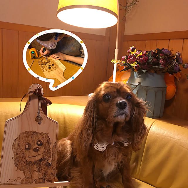 juncocoさんの実例写真