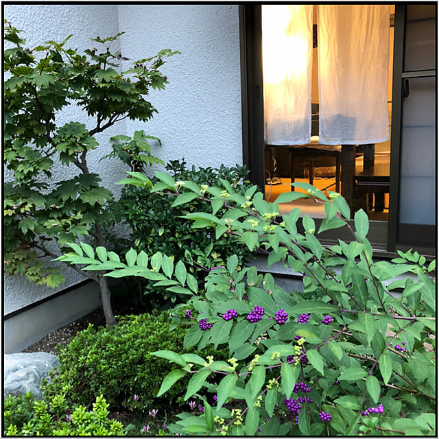 mamizaさんの実例写真
