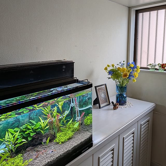 Renさんの実例写真