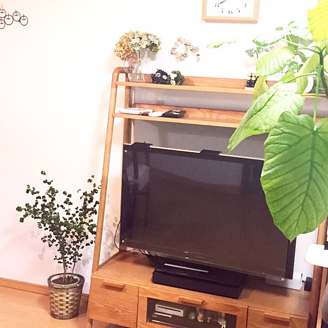 shizu2380さんの実例写真