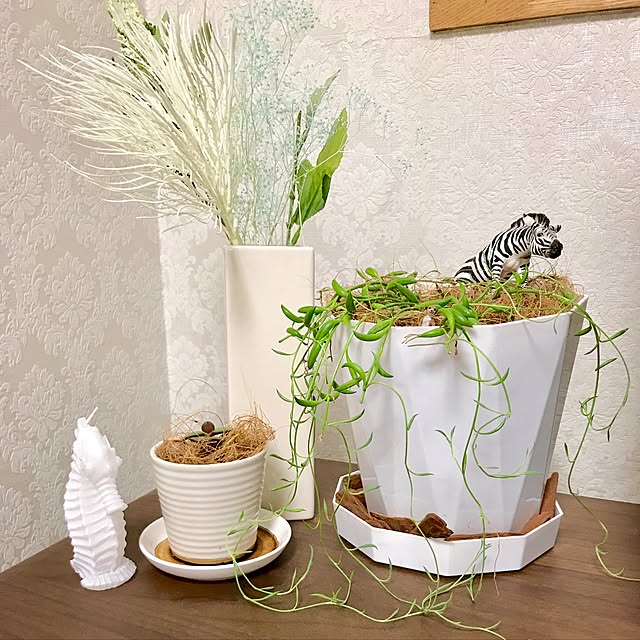 Jijiさんの実例写真