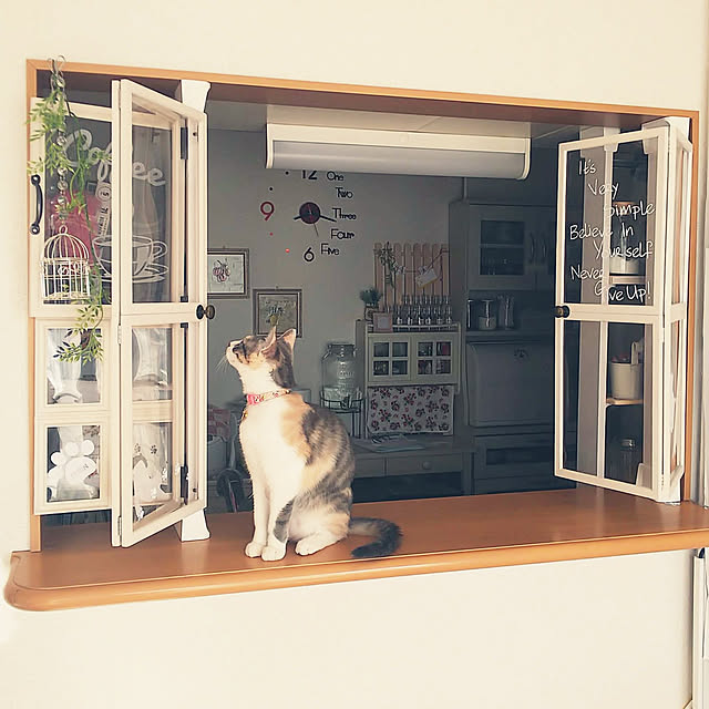 MOSさんの実例写真