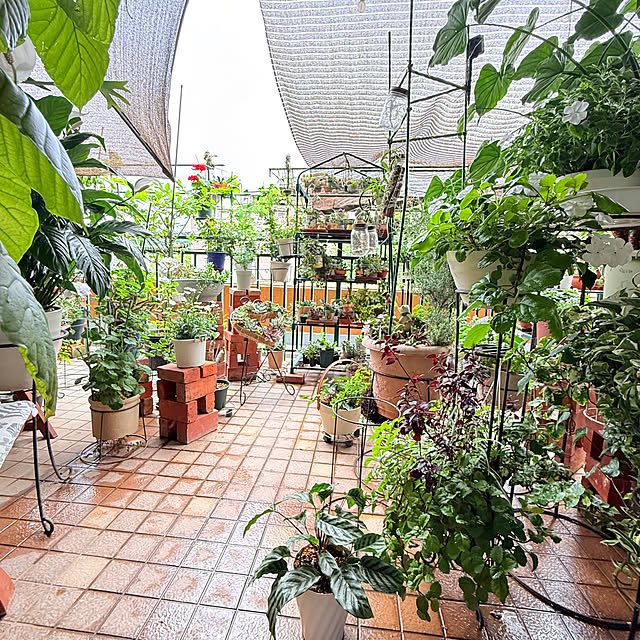 Aqettyさんの部屋