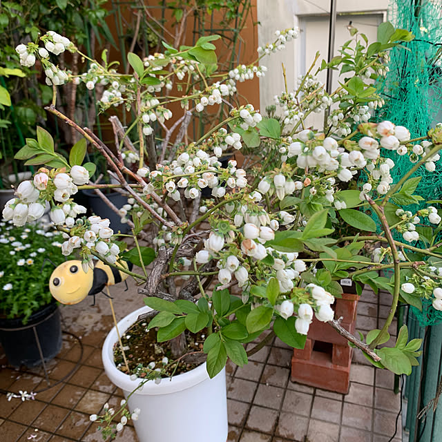 Aqettyさんの部屋