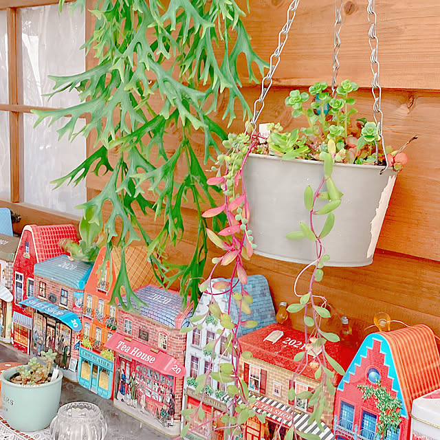 Hanakaさんの部屋