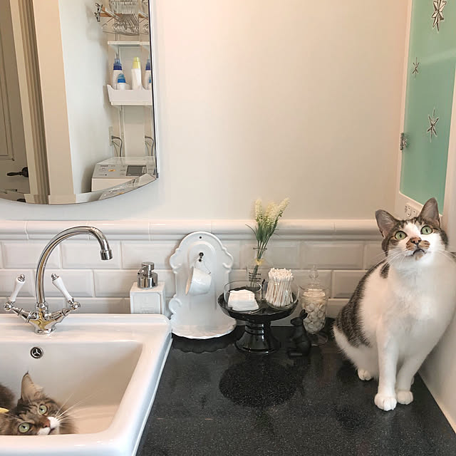 yuchiさんの実例写真