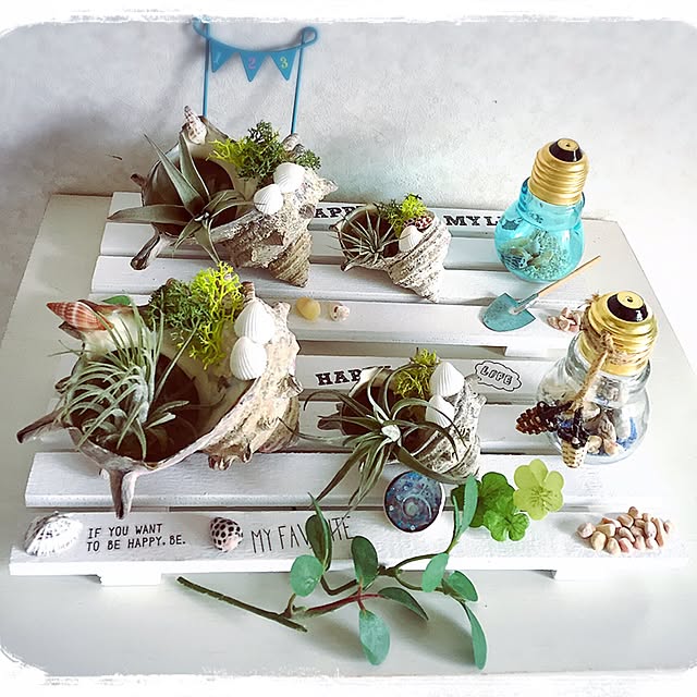 棚/ハンドメイド/カフェ風/雑貨/多肉植物...などのインテリア実例 - 2016-06-01 11:46:59