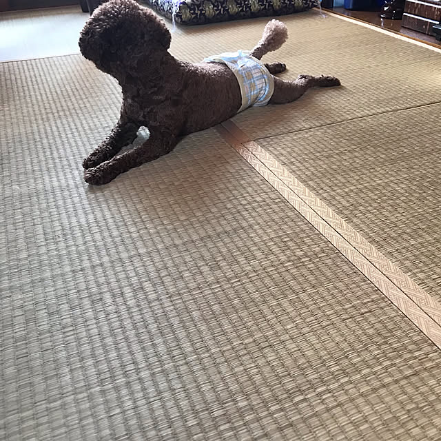 home_44さんの実例写真