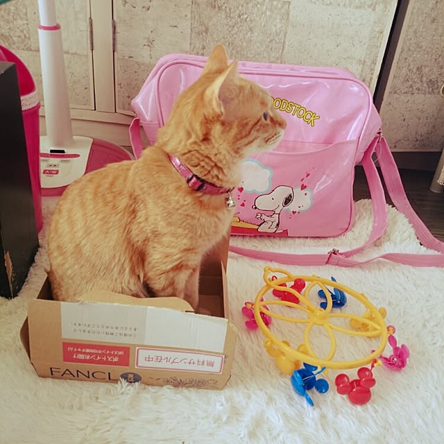 fu-ka24さんの実例写真