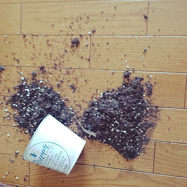 kozueさんの実例写真