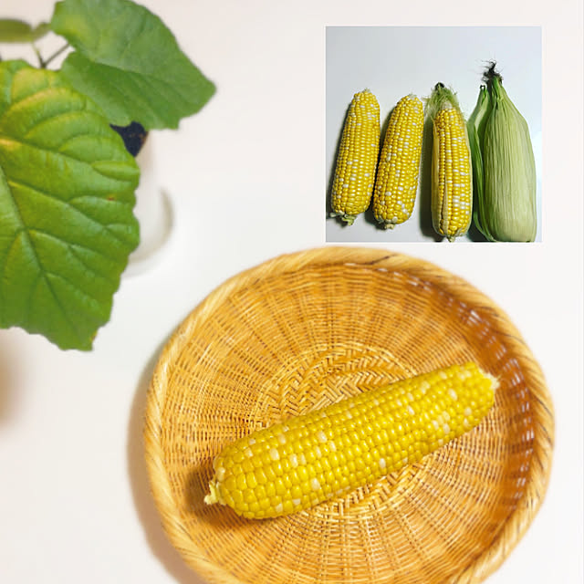 hoshimamaさんの実例写真