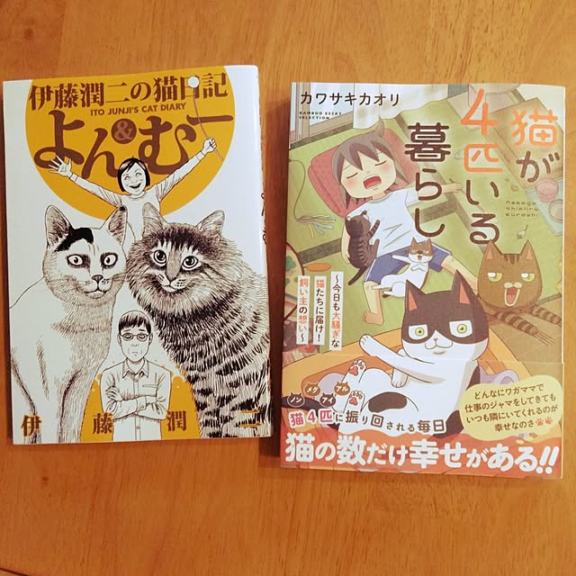 futukoさんの実例写真