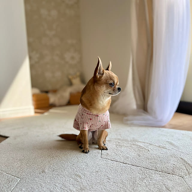 mariさんの実例写真