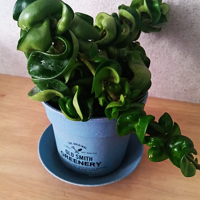 gomariさんの部屋