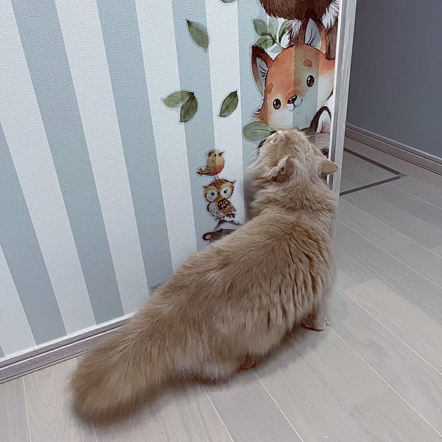 mouseさんの部屋