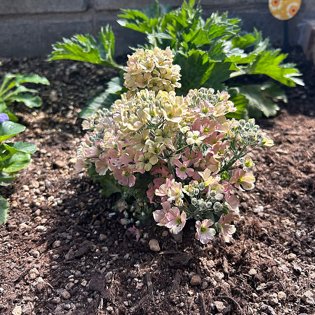 banbinaさんの部屋