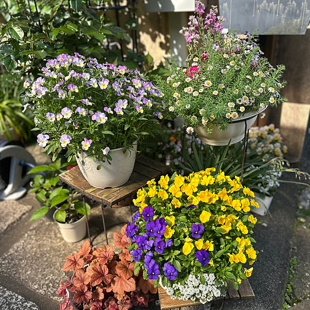 fumikoiさんの部屋