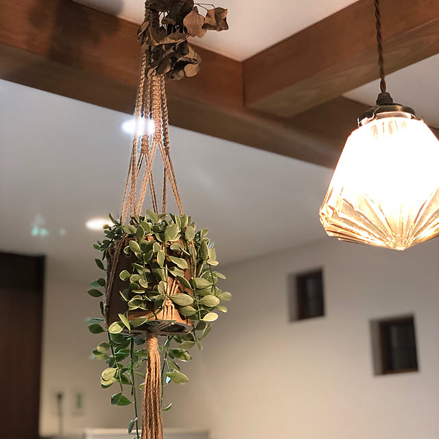 ディスキディア/観葉植物のある暮らし/多肉植物/ねこ部/花のある暮らし...などのインテリア実例 - 2019-05-02 11:55:09