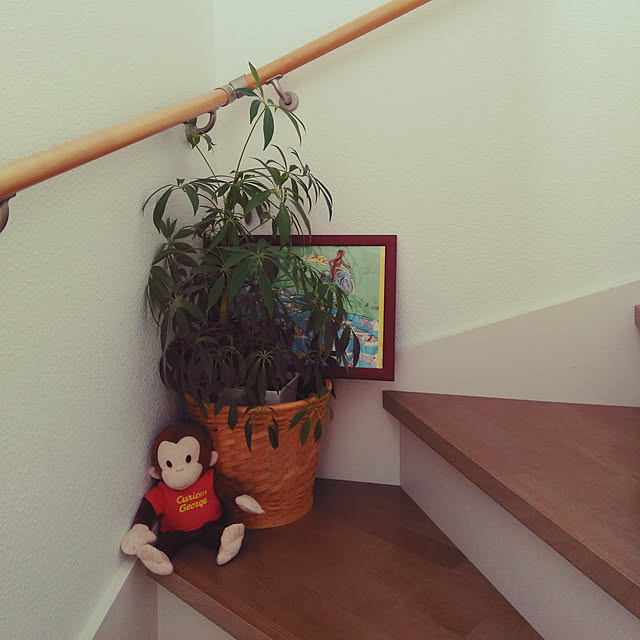 miiさんの実例写真