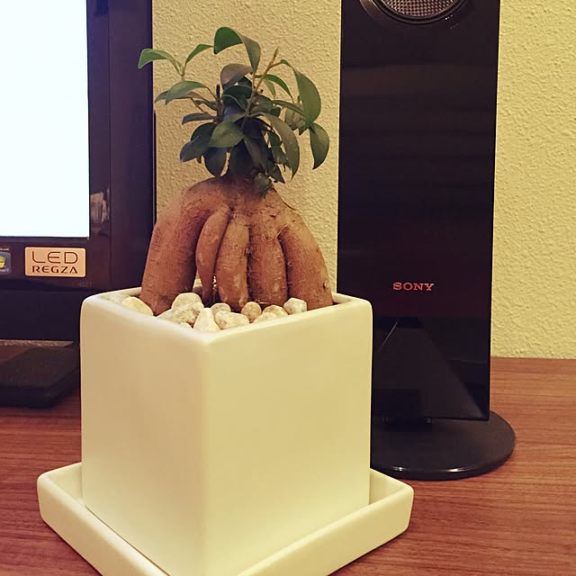 Tomokoさんの実例写真