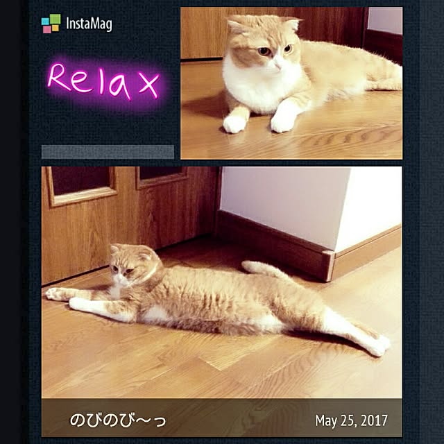 kumingさんの実例写真