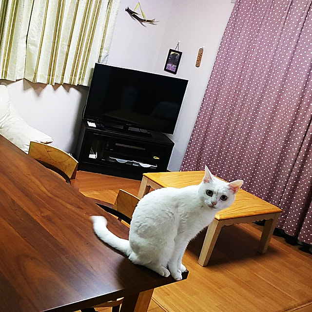 h-a-ri.mamaさんの実例写真