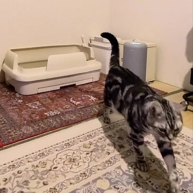 lovepeaceさんの実例写真