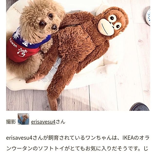 erisavesu4さんの実例写真