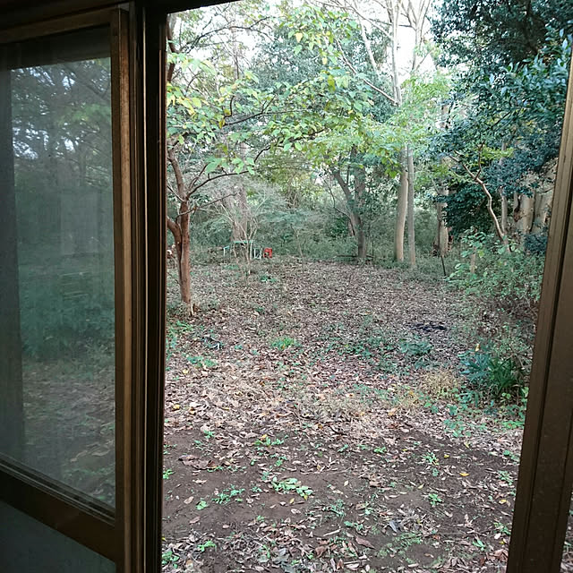 okyosan101さんの実例写真