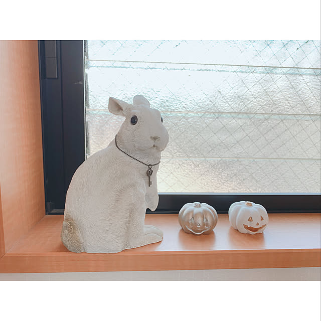 うさぎ/セリア/ハロウィン/シンプル/暮らし...などのインテリア実例 - 2019-09-07 11:58:23