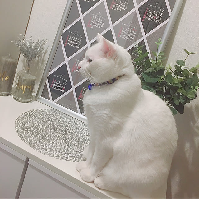R-Mさんの実例写真