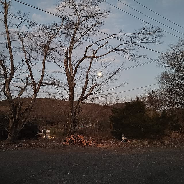 Rubiconさんの実例写真