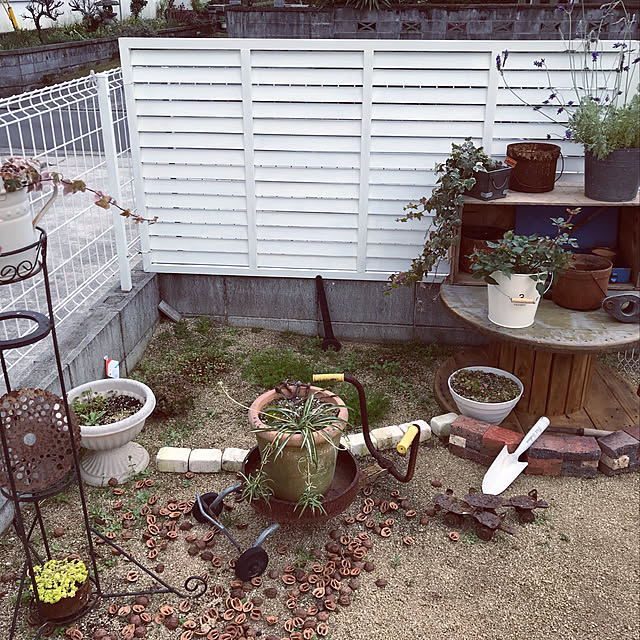 yuccaさんの実例写真