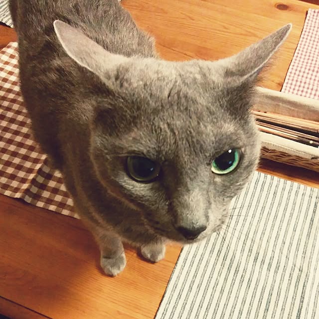 tomo1220さんの実例写真