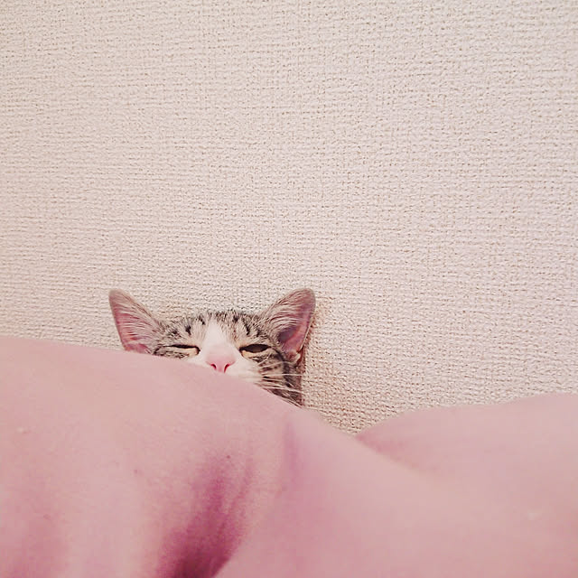 yumeさんの実例写真