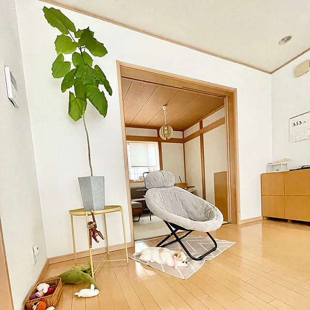 haritakaさんの実例写真